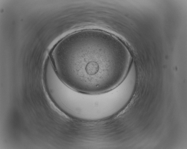 X0000072551518200607211346