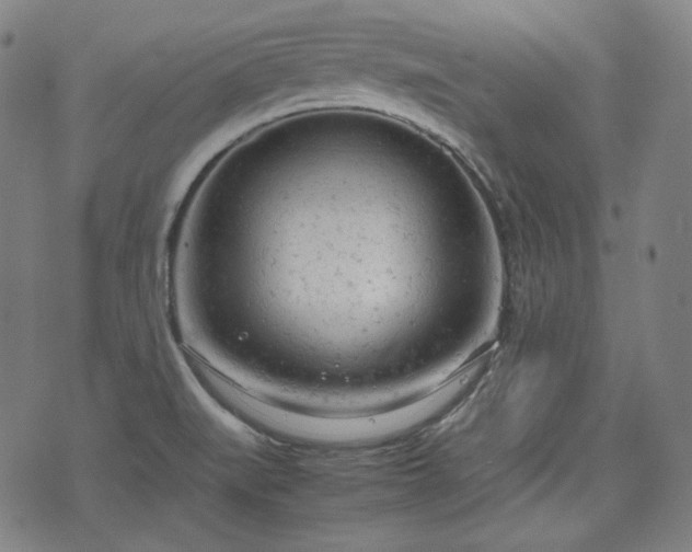 X0000072551519200607211346