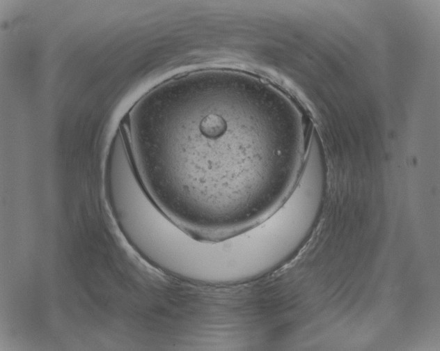 X0000072551520200607211346