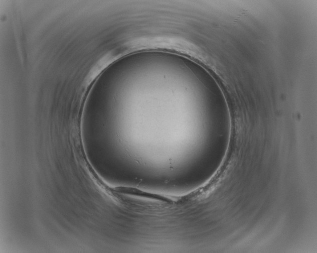 X0000072551521200607211346