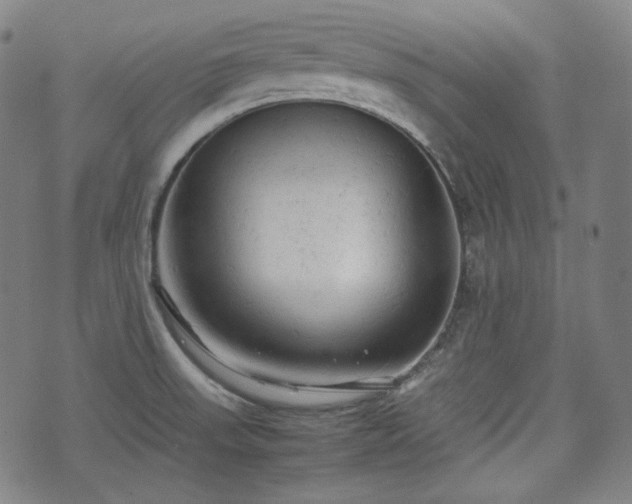 X0000072551523200607211346