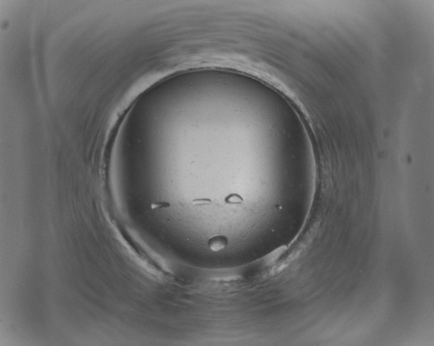 X0000072551525200607211346