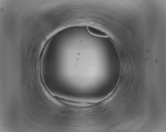 X0000072551526200607211346