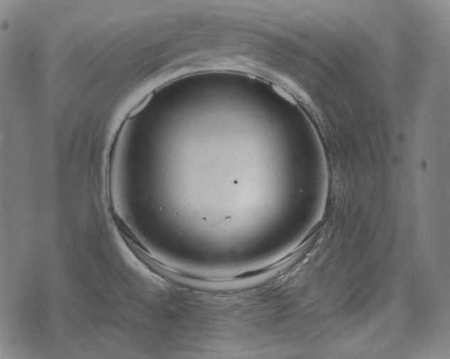 X0000072551528200607211346