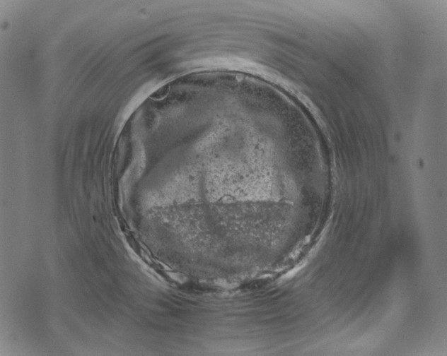 X0000072551529200607211346