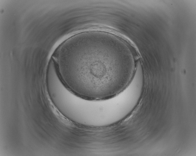 X0000072551530200607211346