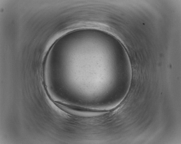 X0000072551531200607211346