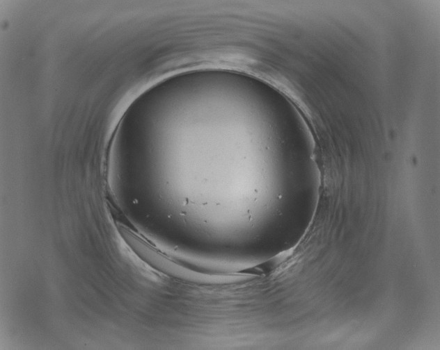 X0000072551532200607211346