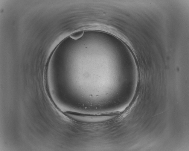 X0000072551533200607211346