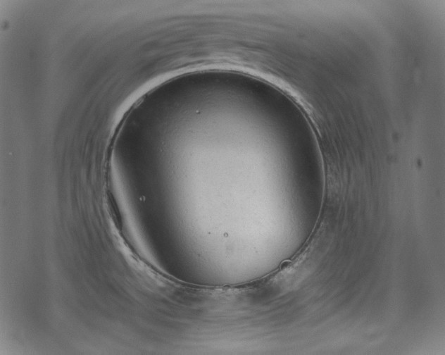 X0000072551534200607211346