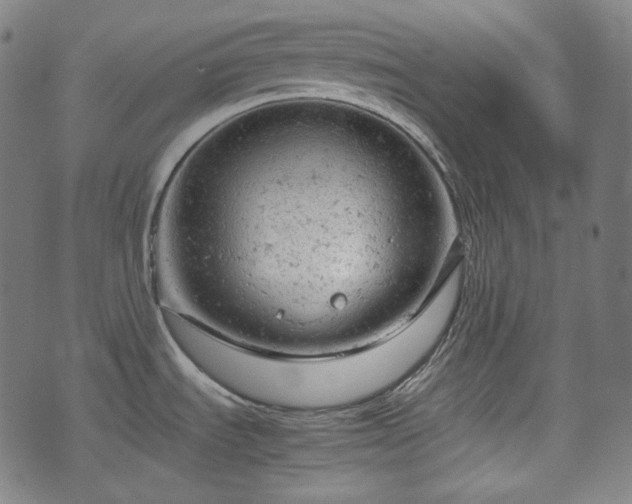 X0000072551535200607211346