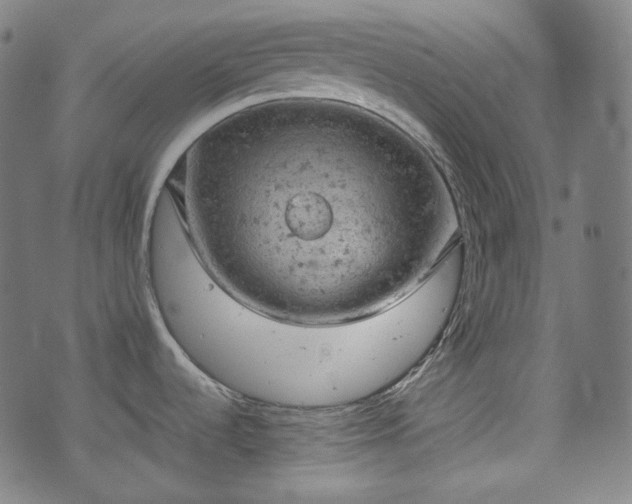 X0000072551536200607211346