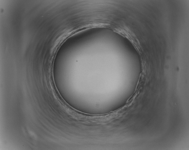 X0000072550001200607281700