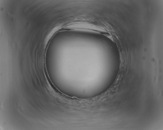 X0000072550003200607281700