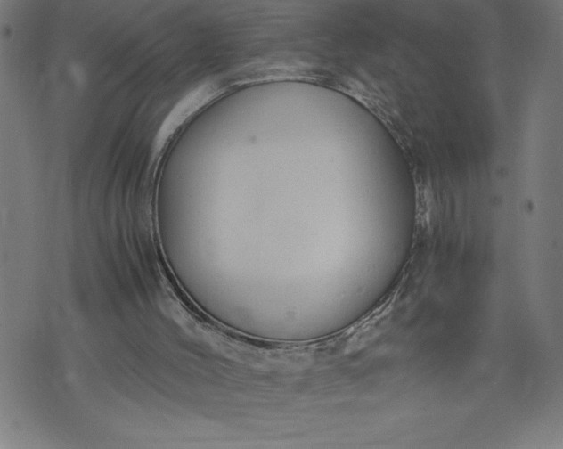 X0000072550004200607281700