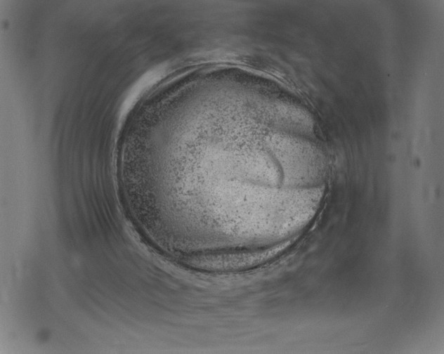 X0000072550006200607281700