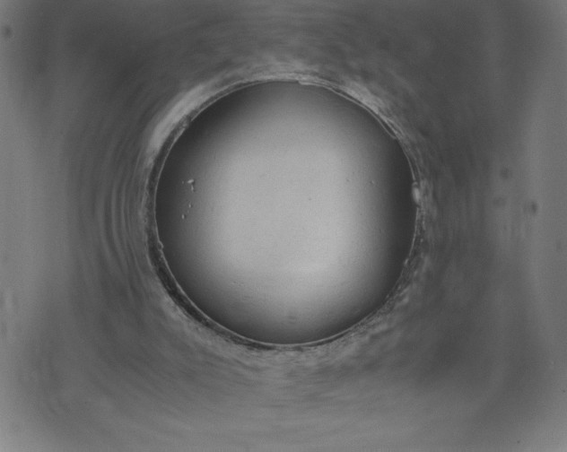 X0000072550007200607281700