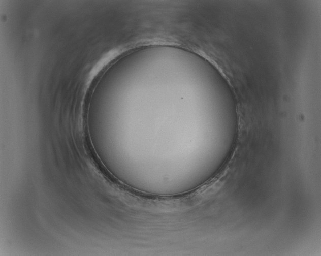 X0000072550008200607281700