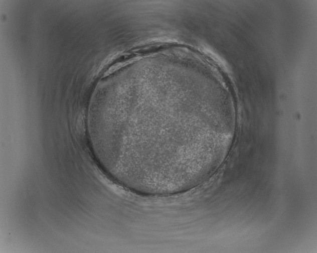 X0000072550009200607281700