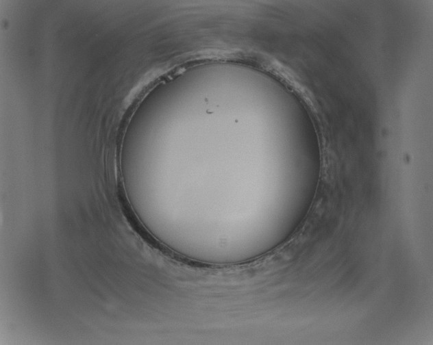 X0000072550011200607281700