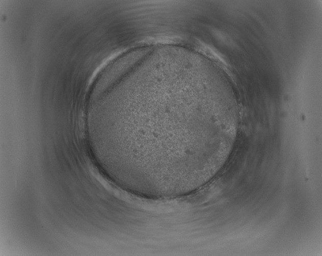 X0000072550012200607281700