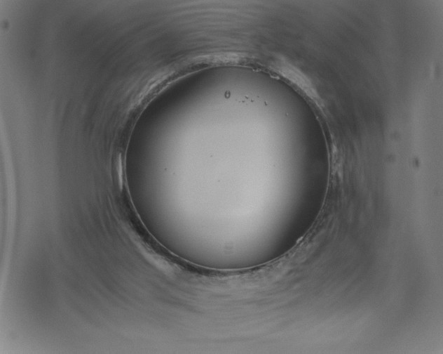 X0000072550013200607281700