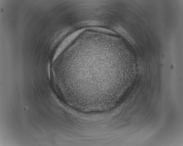 X0000072550014200607281700