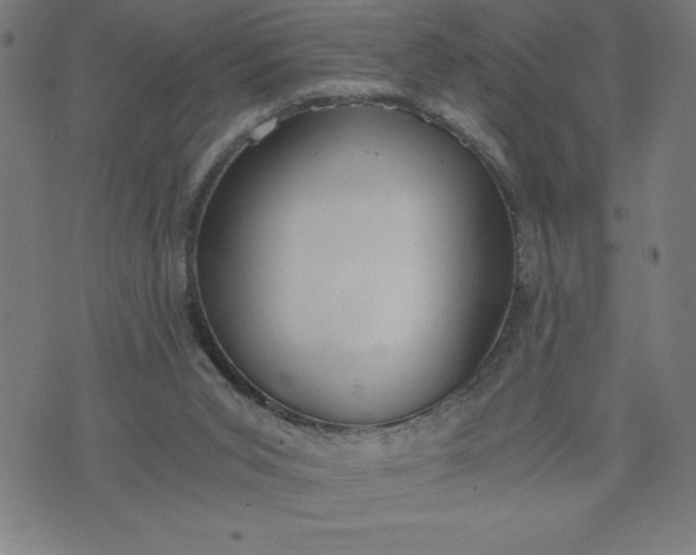 X0000072550015200607281700