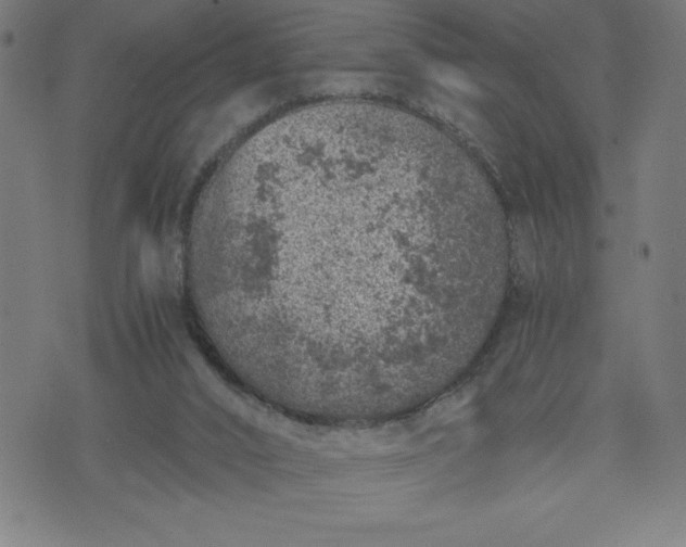 X0000072550016200607281700