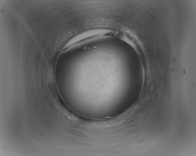 X0000072550017200607281700