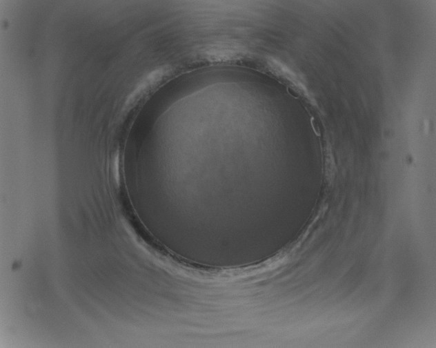 X0000072550019200607281700