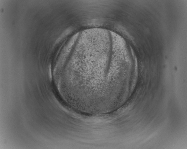 X0000072550020200607281700