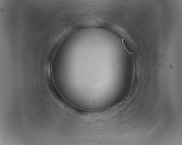 X0000072550021200607281700