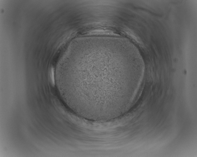 X0000072550022200607281700