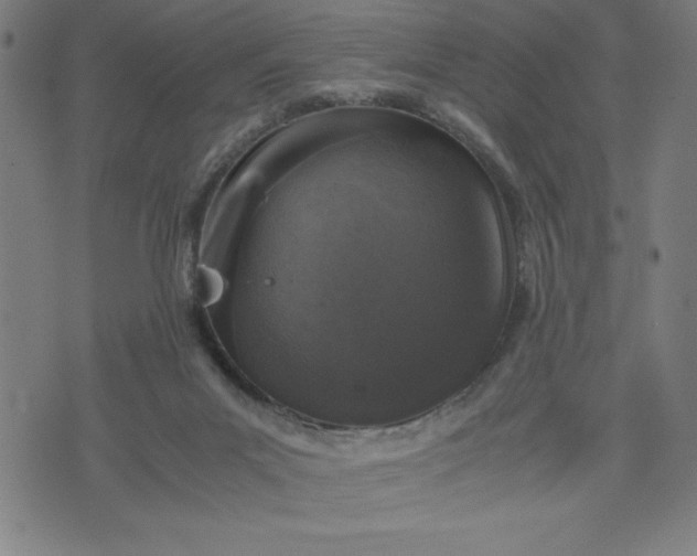 X0000072550023200607281700