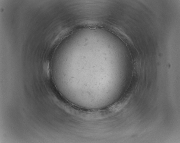 X0000072550024200607281700