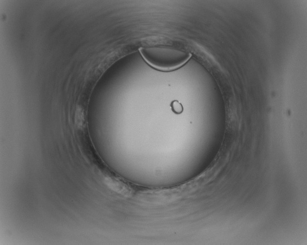 X0000072550025200607281700