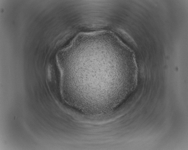 X0000072550026200607281700