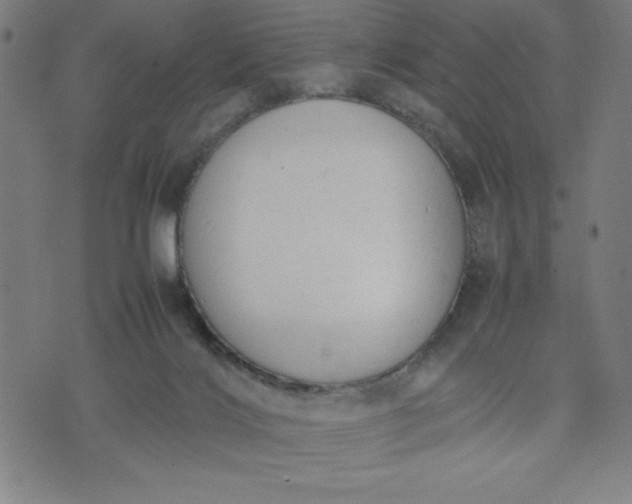 X0000072550028200607281700