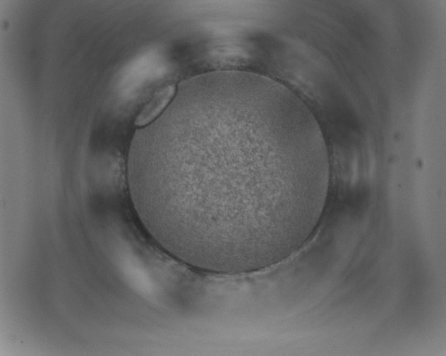 X0000072550029200607281700