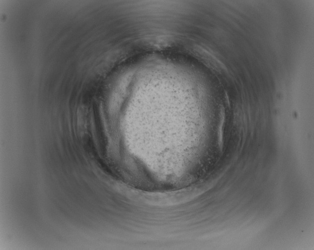 X0000072550030200607281700