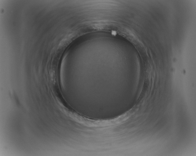 X0000072550031200607281700