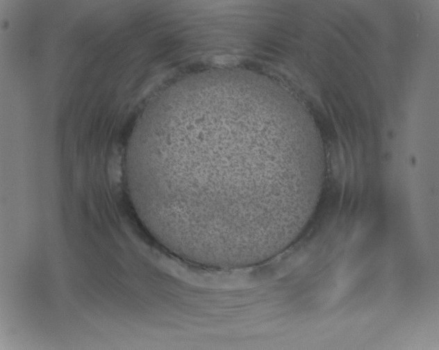 X0000072550032200607281700