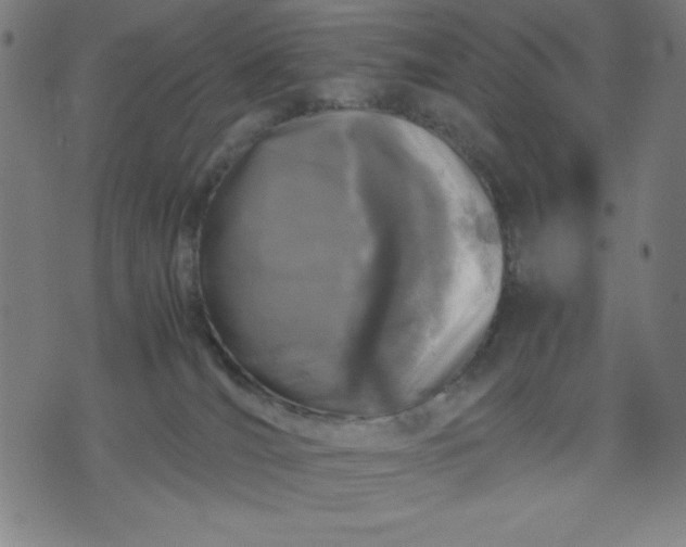 X0000072550036200607281700