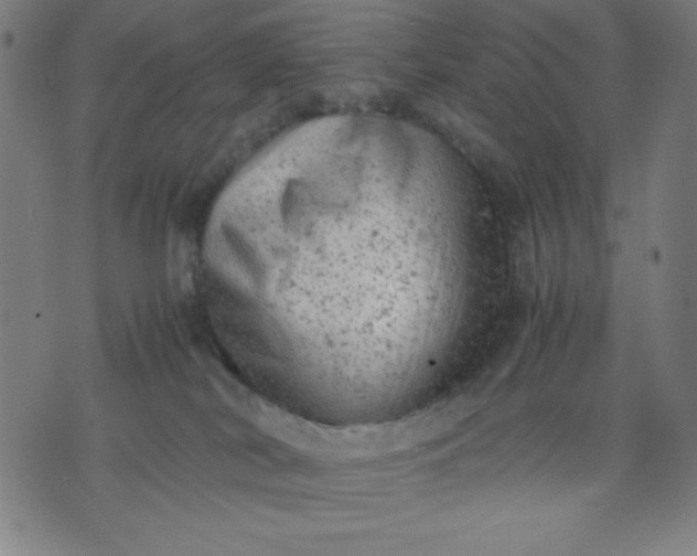 X0000072550038200607281659