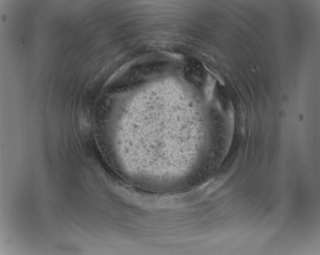 X0000072550040200607281659