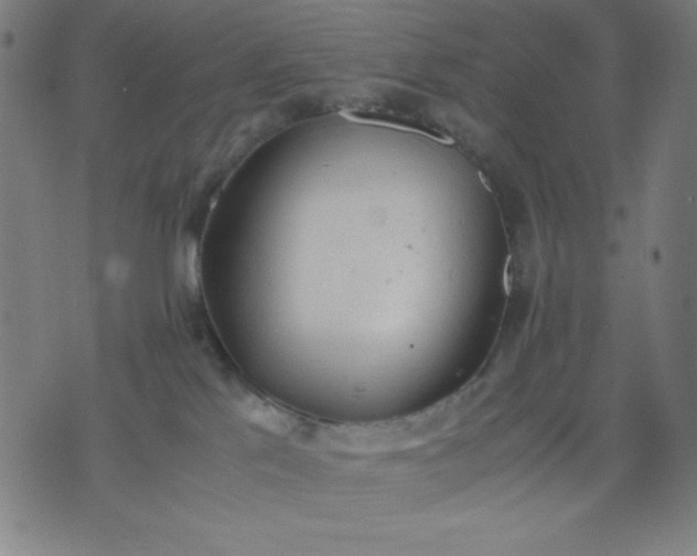 X0000072550041200607281659