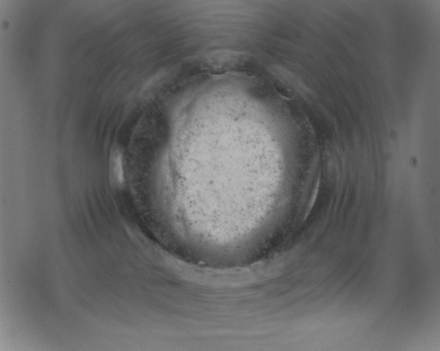 X0000072550042200607281659