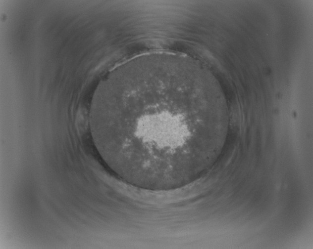 X0000072550043200607281659