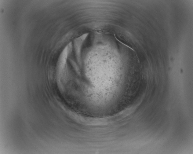 X0000072550044200607281659